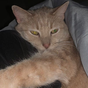 Meet your Posher, Denise